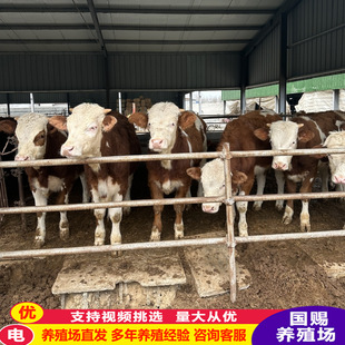 �ؑc�����Sţ�Bֳ�� �S�ҳ���ţ�� ���T����ţ����ţ���l