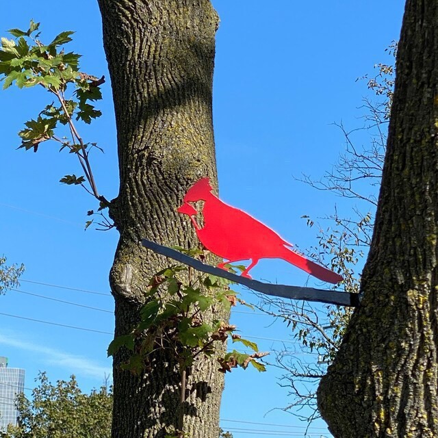 O1CN01gky5Yp1e5bmsUFgnt_!!2215