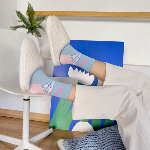 Japanese cartoon socks for women, blue combed cotton mid-length socks for women, cute puppy stockings, dropshipping