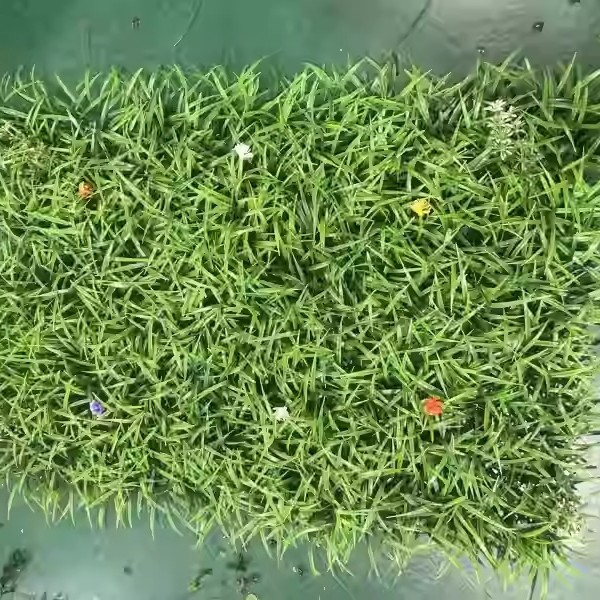 模擬植物壁緑植物背景壁ミラノプラスチック偽芝生ドアヘッド室内装飾植物花壁芝生|undefined