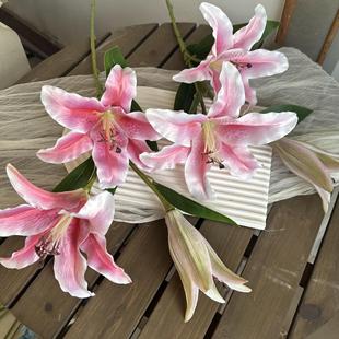 �Ҿӻ�ƿ�[�����滨3D���w��ˮ�ٺϷ��滨����c��Y�bٻ�����