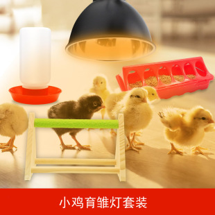 С�u���r���ӟ�����b�Bֳιʳ���ˮ�����bһվʽ����ι�B