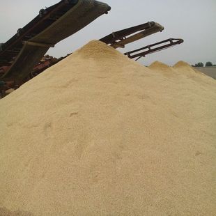 现货中粗砂中砂石英砂 铸造用海砂细沙 混凝土砂浆用黄沙烘干砂-阿里巴巴