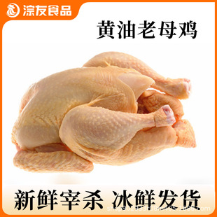 �V�|�����S����ĸ�uɢ�B300���r��ĸ�u���u���u���u�S��ʳ�����l