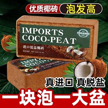 椰砖土厂家直供养花多肉种菜椰糠土种花泥土有机营养土园艺花卉