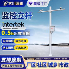 交通监控立杆防水电子警察杆3.5米4.5米6米道路信号摄像头八角杆