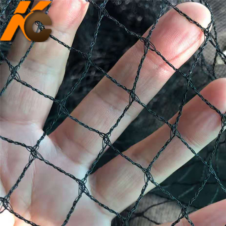 黑色绿色聚乙烯防鸟网花园保护网池塘防落叶网bird net