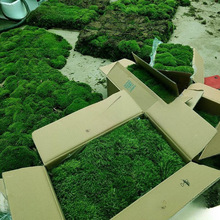 ̦�\�r��ͥԺ̦�\ƽ������\�̽q��̦�˹����쾰�װlС�����ָ�