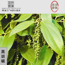 ӡ�Ⱥں����η�����ӡ�Ⱥں���SPA��Ħ��޹�o�wֲ�ﾫ��ԭ�����l