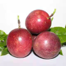  һ̖ ϷͥԺ̨ԵļٮY