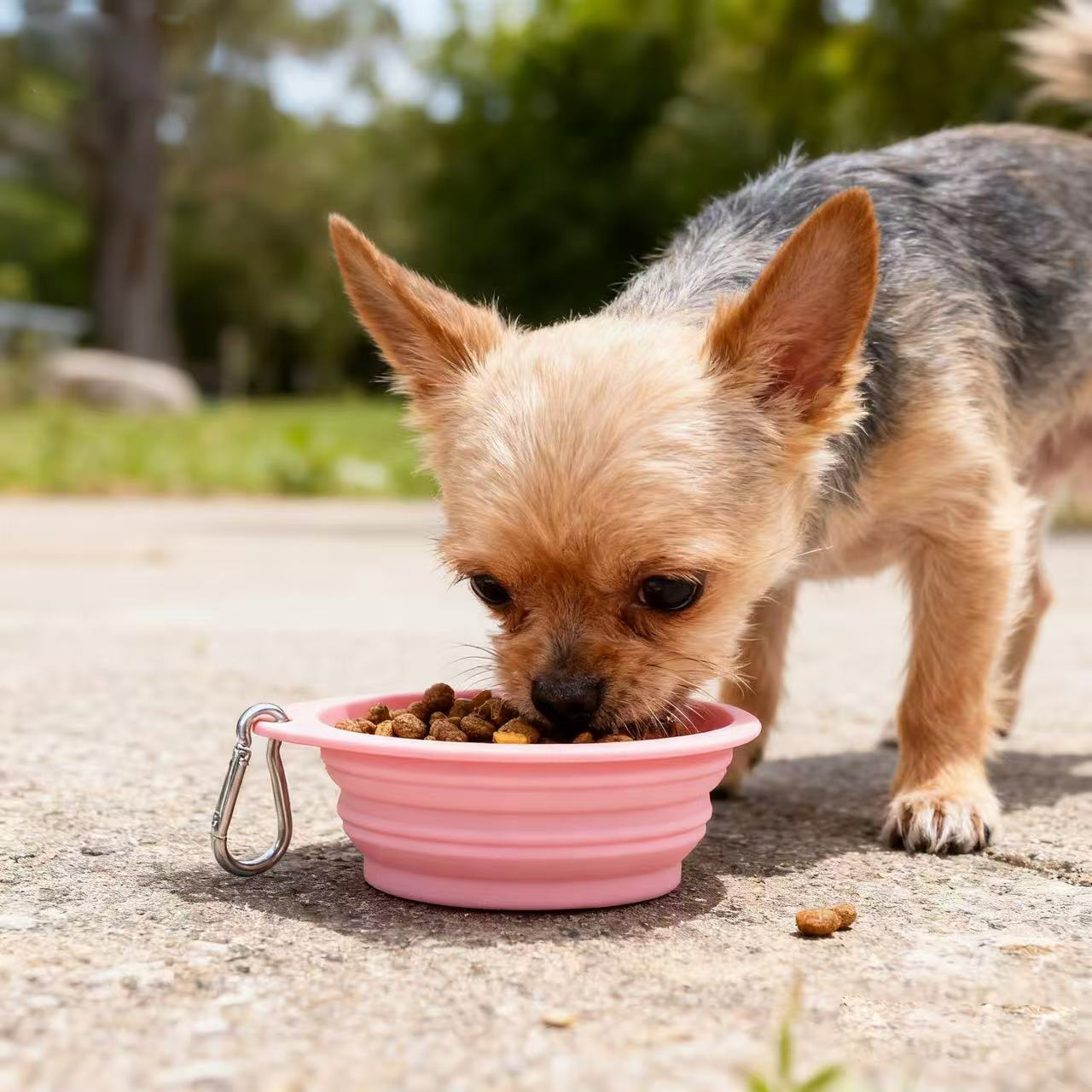 Tazón plegable para mascotas Tazón de silicona para perros Tazón de comida para perros y gatos al aire libre anti-volcado Tazón de comida para perros Tazón de agua para perros Suministros Tazón de arroz para perros