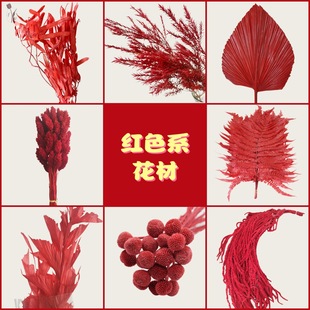 �tɫ�������ɻ��Ҿ��b[���廨�Ĕz���������������c��Y�b�