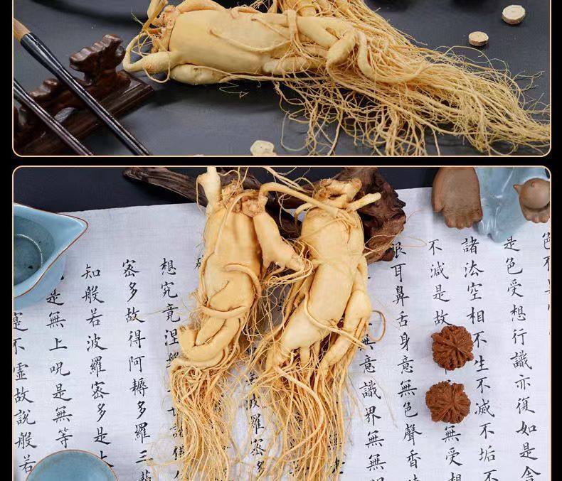 Fresh Changbai Mountain Ginseng Ren Shen Whole Root for Tea Wine and Cooking 350g specifications