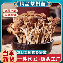 茶树菇 云南富硒茶树菇50克/袋无干燥剂菌菇火锅食材干锅配菜煲汤