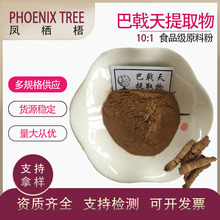 现货供应水溶性巴戟天粉 食品级喷雾干燥原料粉 10:1巴戟天提取物