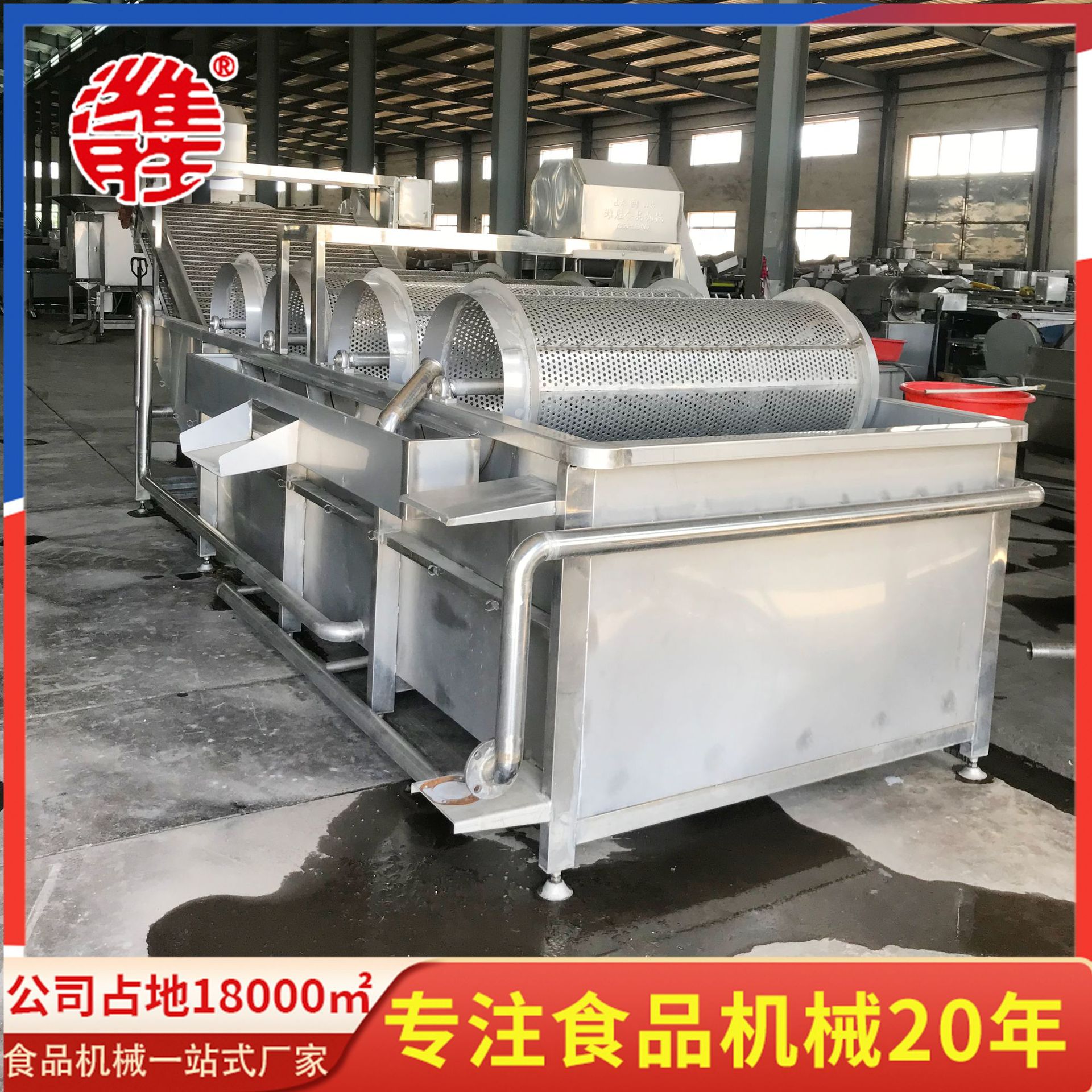 不锈钢豆芽去皮机设备  豆芽清洗机设备 豆芽去皮清洗机设备