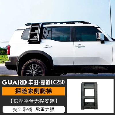 Roof rack, Backpack, Lc120 Car Rack - ladder