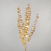 �羳��ɫ���滨���ļҾ��b[����c�廨�õ��߷���õ���ȼ����y