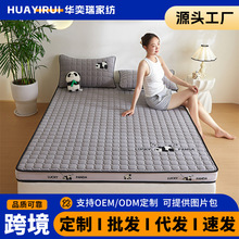 �ﶬ�¿����w���z�Ӻ񺣾d���|���w߅�ɐ�ſſ��؈�W�����ô�����