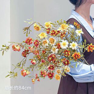 �ͮ�ϵ���r�ռٻ��[�O�͏d�����b�Ʒ�ҕ����ˇ�[���廨�羳Դ�^