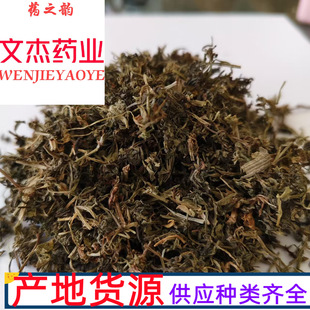 �i�������ɲ���ș���i����F؛�������Ă�ș�I�����i���꡿500��