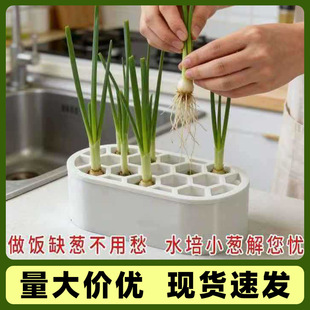 �羳����С�[�²��������N��ˮ��Nֲ��Ӽ��̨�@ˇ�[�����l�N��