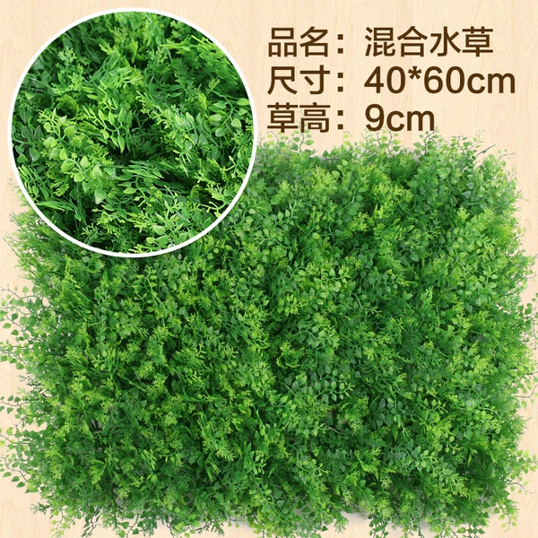 Burgundy mixed aquatic plants