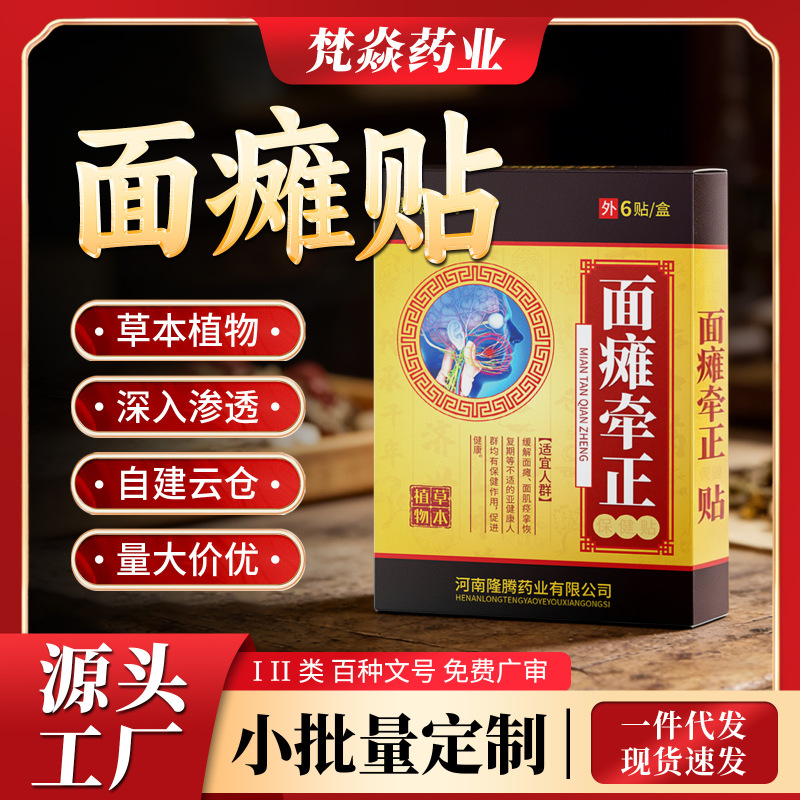 Facial Paralysis Patch, Facial Paralysis Plaster, Facial Numbness Relief and Care Plaster