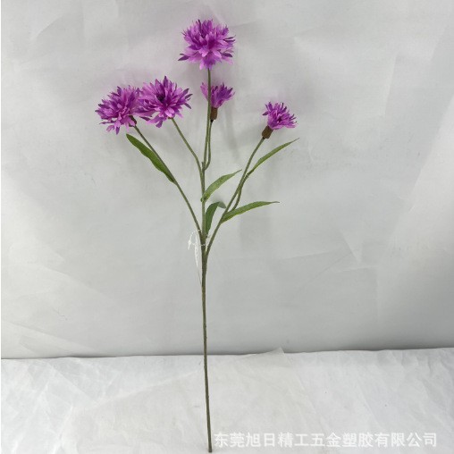 퍼플 핑크(PP1056)