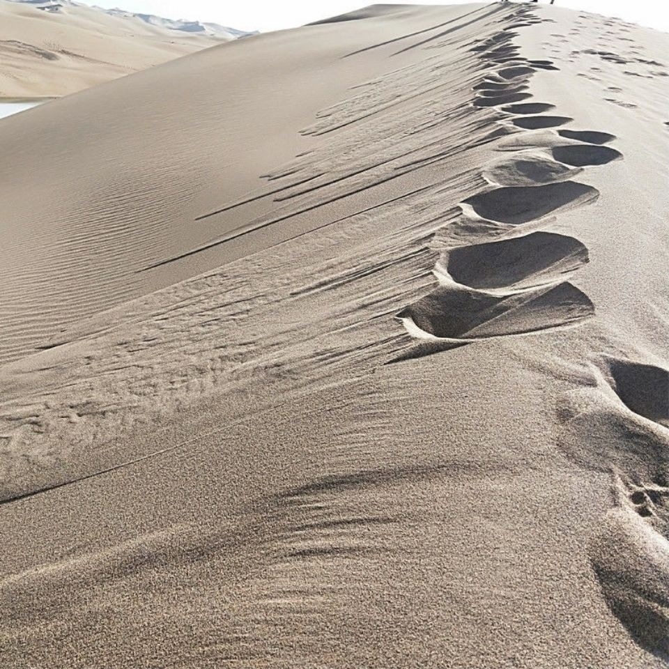 3403618b-c111-47cb-b606-f29f06eff219.jpe