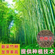 ɢ�b��������N���ļ����N�׻�ͥԺ�^�p����N��ֲ���ͺ��ͺ�����