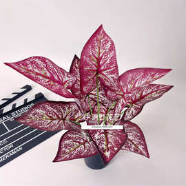 仿真绿植仙芋叶马蹄莲手感叶子仿真植物墙工程配材装饰把束插花