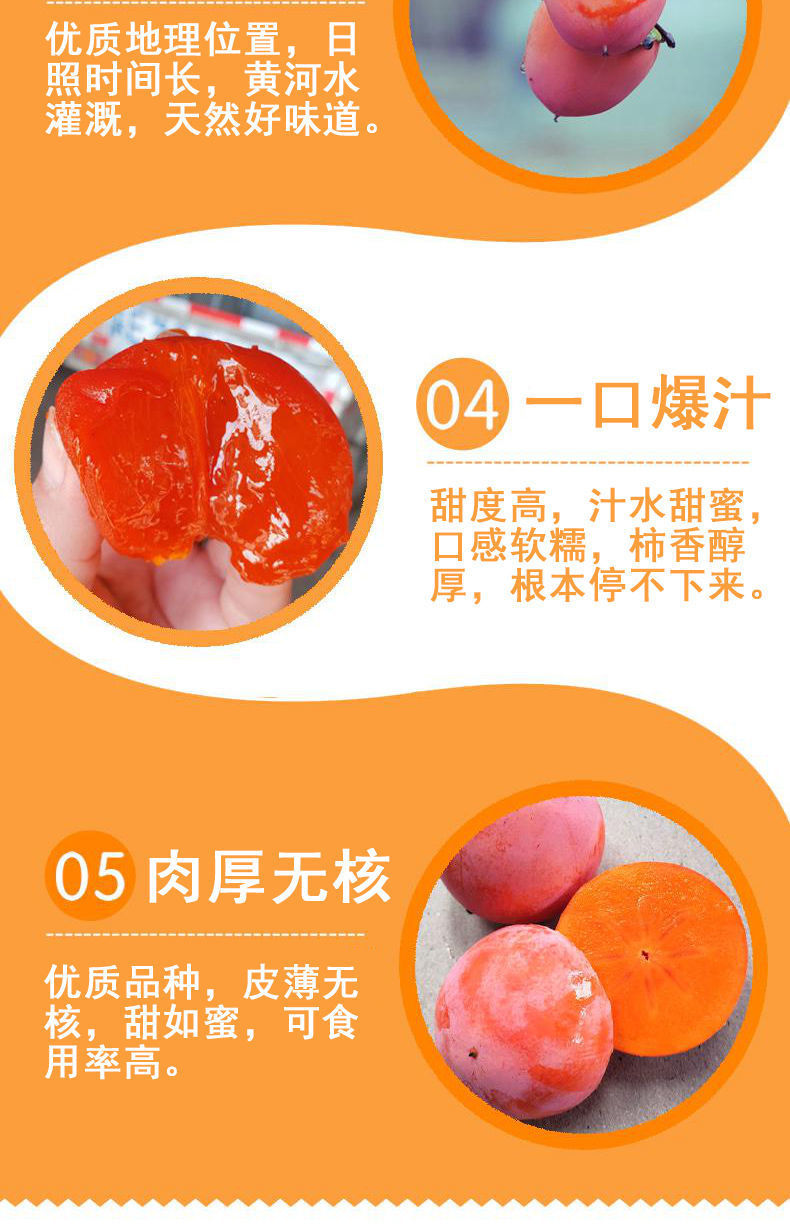 d2ea06ca-732c-47c6-924a-8393f9645b84.jpe