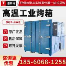 天津泰斯特DGF-4AB 大型鼓风干燥箱 工业烘箱