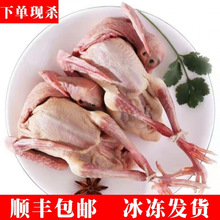 �F������ɢ�B�������r�����ЋD�����I�B���r���]�������Ҝ�������