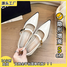 走量款外贸版粗跟玛丽珍女鞋2025年新款法式优雅5公分尖头一字带
