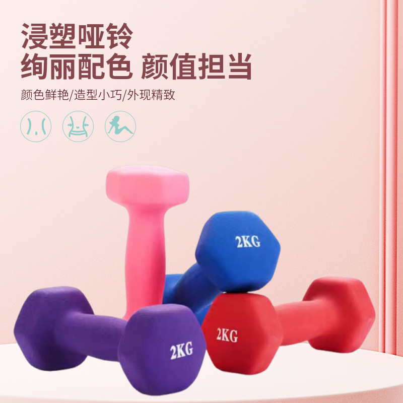 Dumbbell Women's Fitness Home Equipment Slim Belly Barbell Kettlebell Kidsren's Rubber-Coated Female Anti-Rolling Small Dumbbells Pair