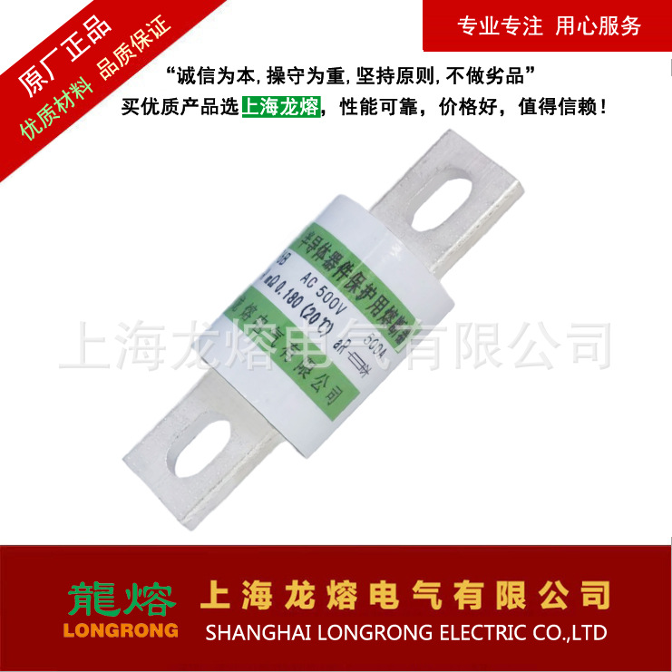 RS95L 700V 660V 100A-200A 螺栓连接式熔断体 "龍熔" 品牌