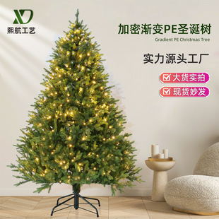 Export Classy Pure Pe Christmas Tree for Home Use 2025 New Living Room Classy Christmas Decoration Pe Artificial Naked Tree