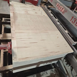 胶合板;木板材;护墙板