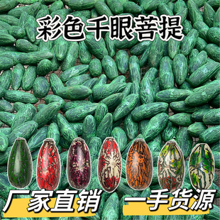 ǧ������ �ʹ���ɫ���t���G�S�����ɫ���[�ؔ������ְѼ�������