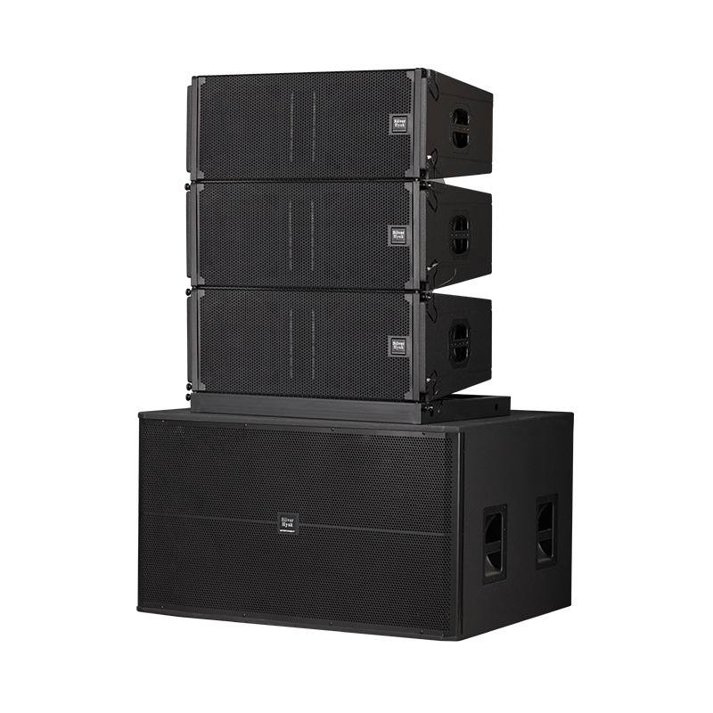 Equipo de sonido de escenario doble altavoz de matriz lineal de 10 pulgadas sistema de amplificación de sonido de altavoz de alta calidad