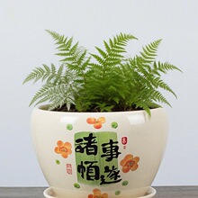 �Ї��L�����մɻ���ϲ���˷���ؔ�������Ժ����m��������莧D&