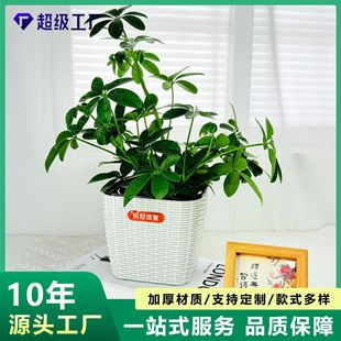 �S��ֱ�N����ˮ���跽�η��ٗl��������G�}�t�������̨���üӺ�