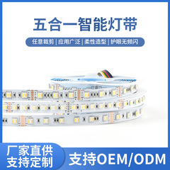 卸売り12v 24v低圧五合一知能灯はrgbcct灯条調光調色知能家庭雰囲気灯を持っている