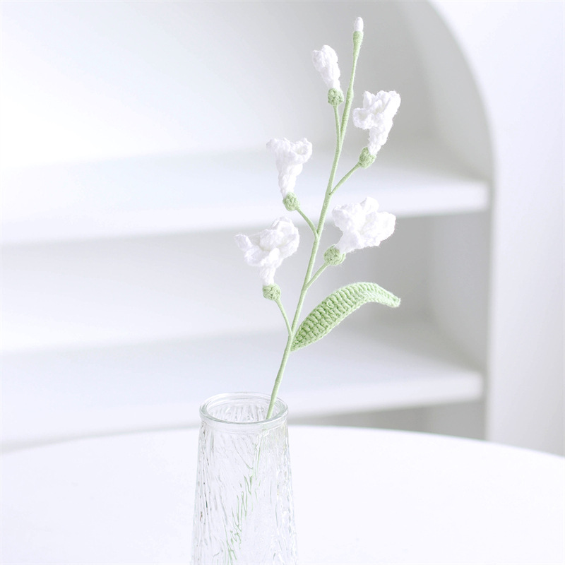 프리지아 화이트