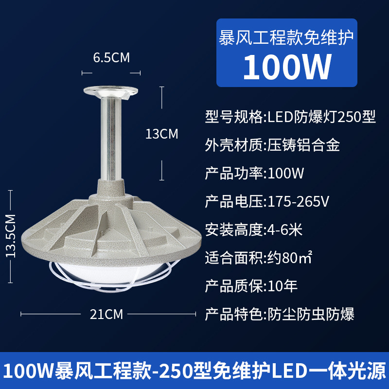 유지보수가 필요 없는 100W 다이캐스트 폭풍 엔지니어링 모델 [회색]