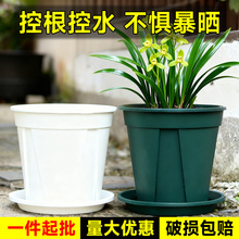 �A�μӺ�ظ�������÷Nֲ���ϻ����������G�}�¼����ԼӁ�����