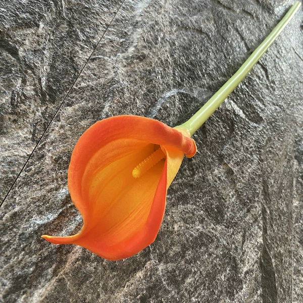 Dark orange