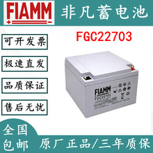 意大利非凡FIAMM免维护蓄电池FGC22703(12V27AH)航空铁路能源储存